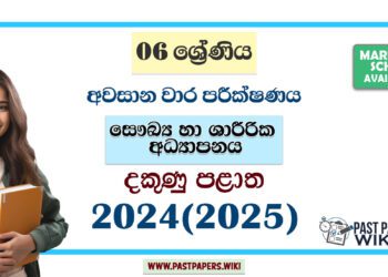 2024 Grade 06 Health 3rd Term Test Paper | Southern Province