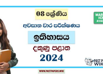 2024 Grade 08 History 3rd Term Test Paper | Southern Province