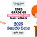 Grade 5 Scholarship Exam Past Paper 2025 | Tamil Medium