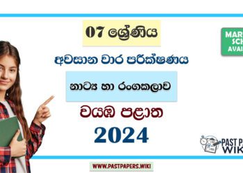 North Western Province 2024 Grade 07 Drama 3rd Term Test Paper | Sinhala Medium