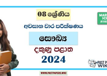 2024 Grade 08 Health 3rd Term Test Paper | Southern Province