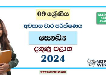 2024 Grade 09 Health 3rd Term Test Paper | Southern Province