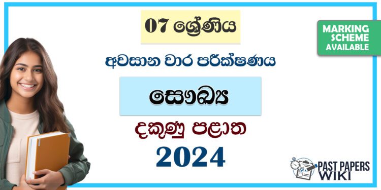 2024 Grade 07 Health 3rd Term Test Paper | Southern Province