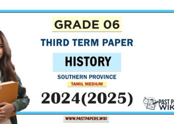 Southern Province 2024 Grade 06 History 3rd Term Test Paper | Tamil Medium