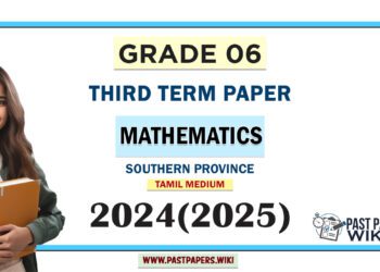 Southern Province 2024 Grade 06 Mathematics 3rd Term Test Paper | Tamil Medium