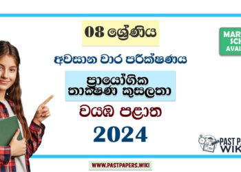 North Western Province 2024 Grade 08 PTS 3rd Term Test Paper | Sinhala Medium