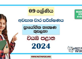 North Western Province 2024 Grade 09 PTS 3rd Term Test Paper | Sinhala Medium