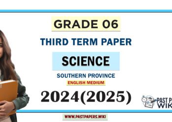 Southern Province 2024 Grade 06 Science 3rd Term Test Paper | English Medium