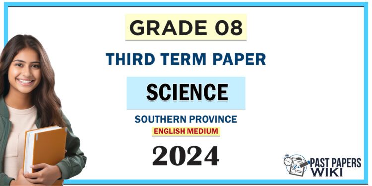 Southern Province 2024 Grade 08 Science 3rd Term Test Paper | English Medium