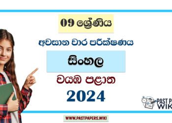 North Western Province 2024 Grade 09 Sinhala Language 3rd Term Test Paper