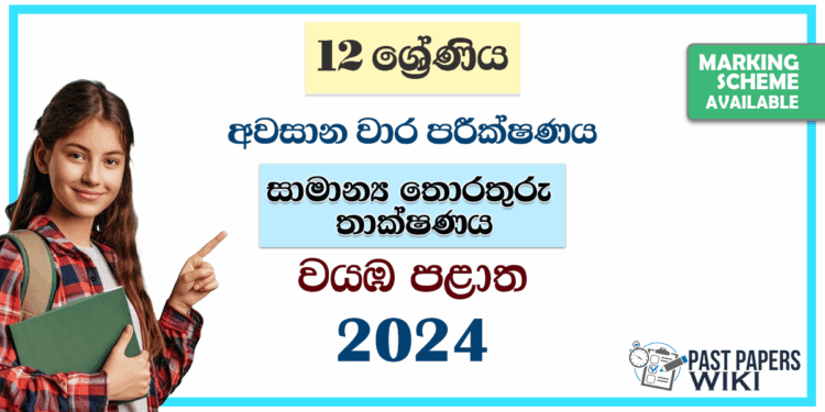 2024 Grade 12 GIT 3rd Term Test Paper | North Western Province