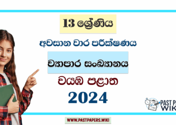 2024 Grade 13 Business Statistics 3rd Term Test Paper | North Western Province