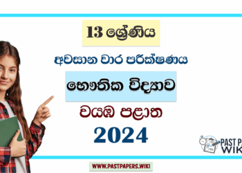 2024 Grade 13 Physics 3rd Term Test Paper | North Western Province