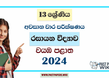 2024 Grade 13 Chemistry 3rd Term Test Paper | North Western Province