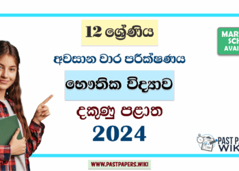 2024 Grade 12 Physics 3rd Term Test Paper | Southern Province