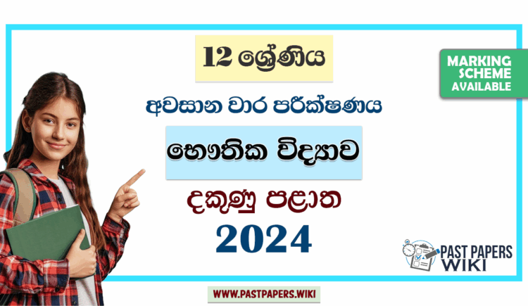 2024 Grade 12 Physics 3rd Term Test Paper | Southern Province