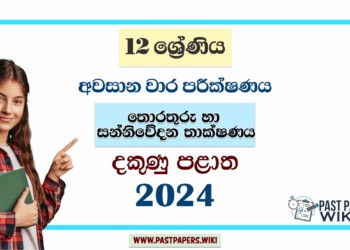 2024 Grade 12 ICT 3rd Term Test Paper | Southern Province