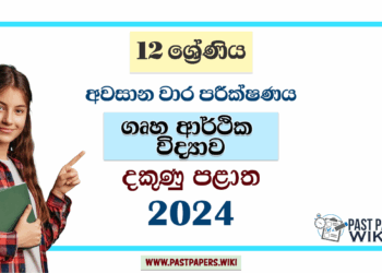 2024 Grade 12 Home Science 3rd Term Test Paper | Southern Province