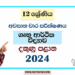 2024 Grade 12 Home Science 3rd Term Test Paper | Southern Province