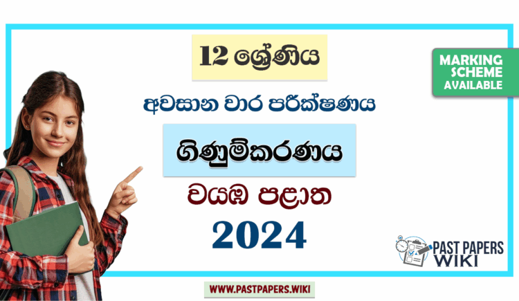 2024 Grade 12 Accounting 3rd Term Test Paper | North Western Province