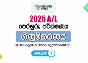 2025 A/L Accounting Model Paper | Central Province