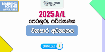 2025 A/L Business Studies Model Paper