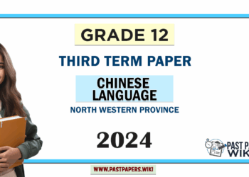 2024 Grade 12 Chinese Language 3rd Term Test Paper | North Western Province
