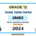 2024 Grade 12 Arabic 3rd Term Test Paper | North Western Province