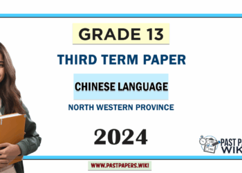 2024 Grade 13 Chinese Language 3rd Term Test Paper | North Western Province
