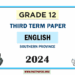 2024 Grade 12 English 3rd Term Test Paper | Southern Province