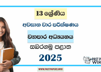 Grade 13 Business Studies 3rd Term Test Paper 2025 | Sabaragamuwa Province