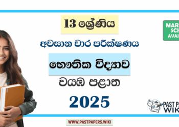 Grade 13 Physics 3rd Term Test Paper 2025 | Northwestern Province