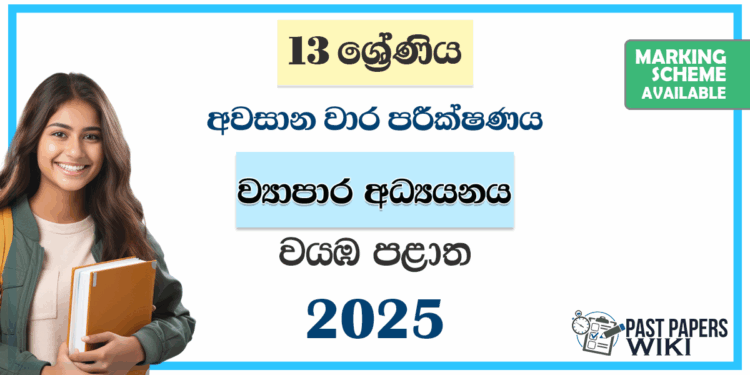 Grade 13 Business Studies 3rd Term Test Paper 2025 | Northwestern Province