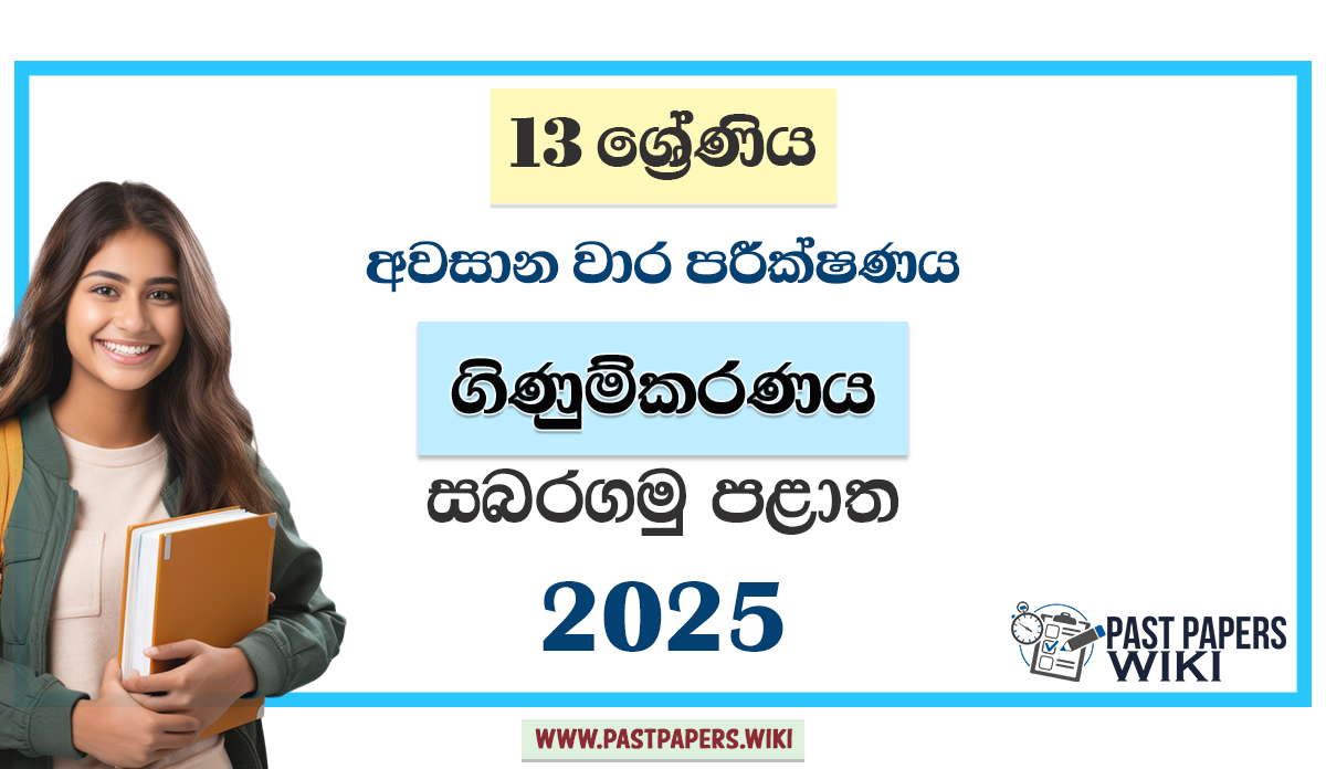 Grade 13 Business Studies 3rd Term Test Paper 2025 | Sabaragamuwa Province