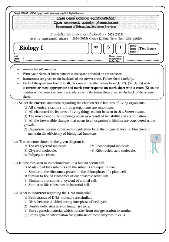Southern Province Grade 12 Biology Third Term Test Paper 2024 in English Medium