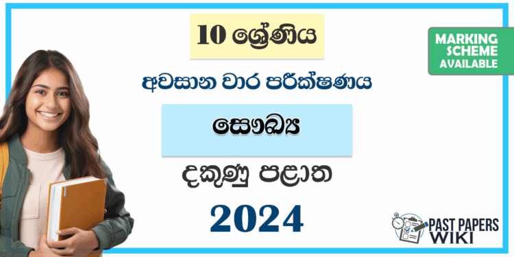 Southern Province 2024 Grade 10 Health 3rd Term Test Paper