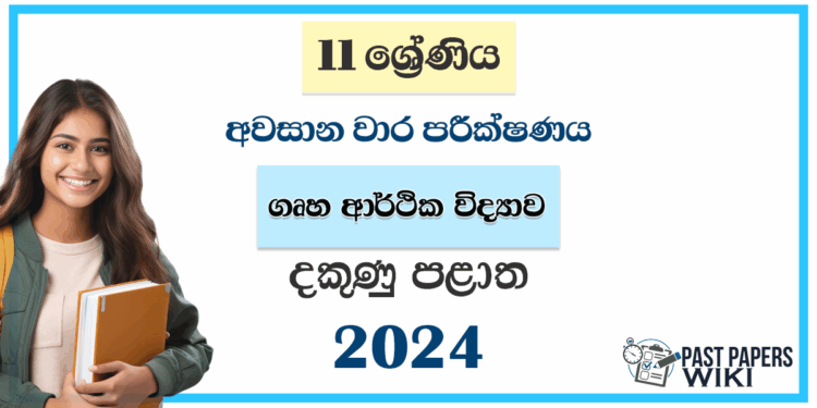 Southern Province 2024 Grade 11 Home Economics 3rd Term Test Paper