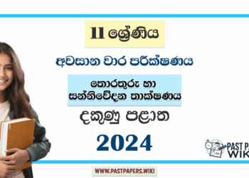 Southern Province 2024 Grade 11 ICT 3rd Term Test Paper