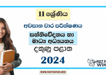 Southern Province 2024 Grade 11 Media 3rd Term Test Paper