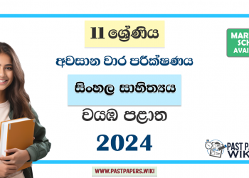 North Western Province 2024 Grade 11 Sinhala Literature 3rd Term Test Paper