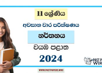 North Western Province 2024 Grade 11 Dancing 3rd Term Test Paper