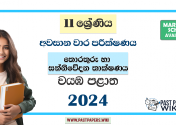 North Western Province 2024 Grade 11 ICT 3rd Term Test Paper