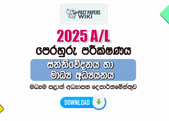 2025 A/L Media Model Paper | Central Province