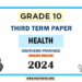 English Medium 2024 Grade 10 Health 3rd Term Test Paper Southern Province