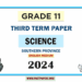 English Medium 2024 Grade 11 Science 3rd Term Test Paper Southern Province