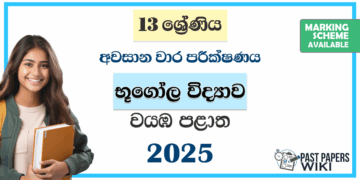 Grade 13 Geography 3rd Term Test Paper 2025 | Northwestern Province