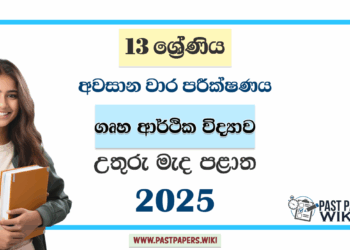 Grade 13 Home Economics 3rd Term Test Paper 2025 | North Central Province