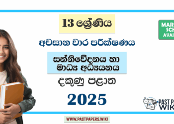 Grade 13 Media 3rd Term Test Paper 2025 | Southern Province