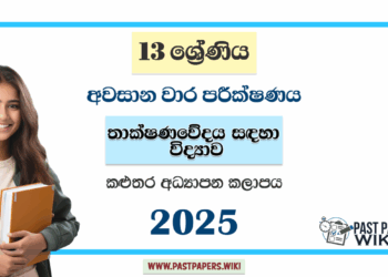 Grade 13 SFT 3rd Term Test Paper 2025 | Kalutara Education Zone