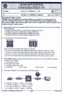 North Western Province 2024 Grade 10 ICT 3rd Term Test Paper